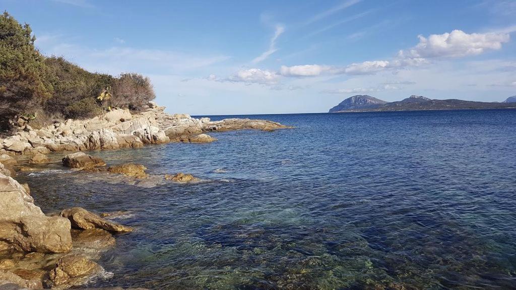 Appartamento A Porto Rotondo - Villaggio Punta Volpe - Iun S5393 Dış mekan fotoğraf